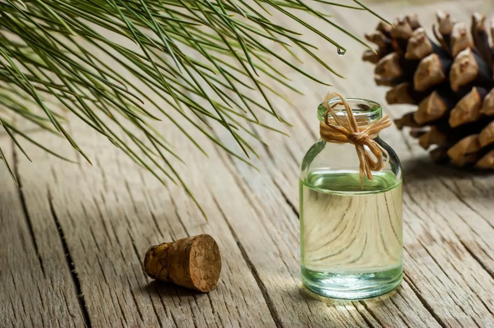 Turpentine Oil
